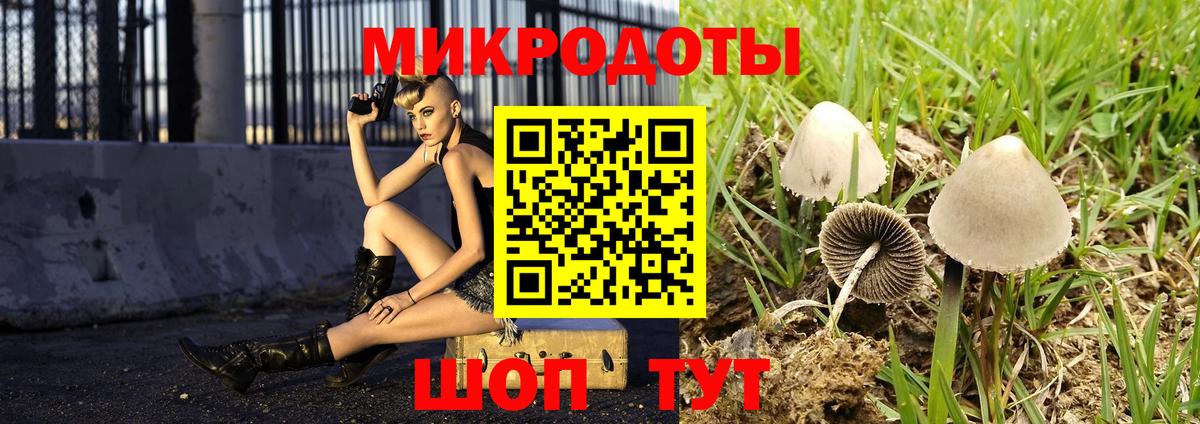 Галлюциногенные грибы GOLDEN TEACHER Артёмовский
