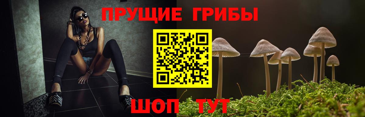 Галлюциногенные грибы MAGIC MUSHROOMS  Галлюциногенные грибы ЛСД  Артёмовский  Вход с VPN 